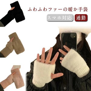  t@[  h ~g w؂  NX}X 킢  X}zΉ A[Jo[ O[u X}zΉ h ӂ SHOP DAN