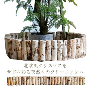 EbhtFX c[tFX NX}Xc[ B  c[  B c[ B k  I[ig  c[XJ[g SHOP DAN