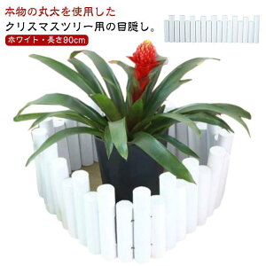 B NX}Xc[ ۑ k rJo[ ډB NX}Xc[  NX}Xc[  G EbhtFX VR i` c[ SHOP DAN