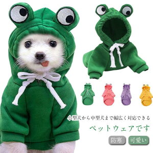 hbOEFA t[ht NX}X p[J[ JG  ybgEFA U RXv   h  o   SHOP DAN