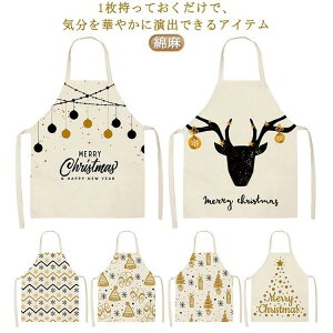 nEXN[jO fR[VGv Gv Ⴞ T^N[X GN zf[Lb` X^C NX}X NX}XfBi[p[ SHOP DAN