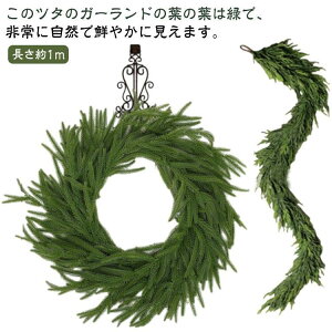 qmL lH tFCNO[  G K[h ̐j O[K[h ԗ ̗t[ NX}XK[h a lH lHϗtA SHOP DAN