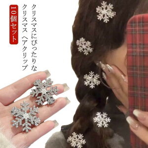 10Zbg NX}X   wANbv NX}X RXv wA[ANZT[ Xm[t[N ̌  NX}XANZT SHOP DAN