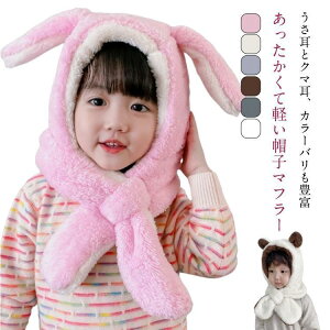 jbgX LbY Xq xr[ t }t[    {A N}  NX}X v[g h 蕨 tXq  SHOP DAN