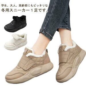 Xj[J[  [gV[Y O Xb| V[Y Xj[J[ RtH[gV[Y EH[LOV[Y N fB[ SHOP DAN