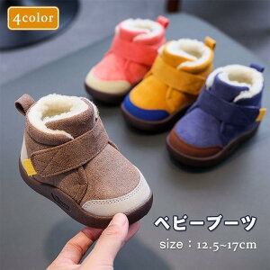 xr[ u[c ~ V[gu[c Xm[u[c  t@[XgV[Y  jp g N ̎q j̎q qC ~ c ʊw ʉ SHOP DAN