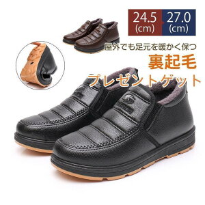 [gu[c Y V[gu[c l ZC g Ȃ o ꂢ N {A h Vv SHOP DAN