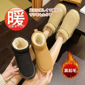 [gu[c u[c fB[X V[gu[c {A t@[ 傫TCY V[Y C h N h SHOP DAN