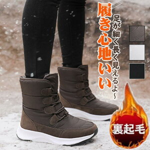 Xm[u[c fB[X N h h h [gu[c g ₷ ɂ C ~ p EC^[u[c hu[c SHOP DAN