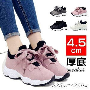 Xj[J[ fB[X X|[c tďH~ 4.5cmq[ [XAbv V[Y jO [Jbg JWA r v[g Ȃ ɂȂ SHOP DAN