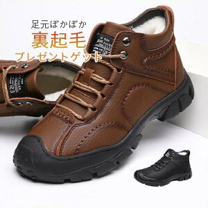 Xm[u[c [gu[c Y V[gu[c Xj[J[ N  h ʋ [Nu[c {AZC Ȃ ~p SHOP DAN