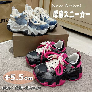 Xj[J[ _bhXj[J[ [XAbv  C V[Y fB[X [JbgXj[J[ Cq[ r gAbv X|[c EH[LO SHOP DAN