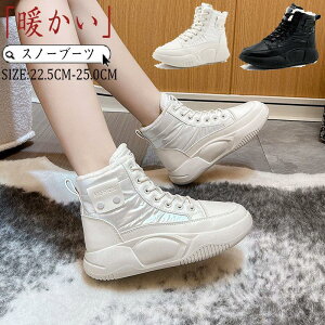 Xm[u[c fB[X C Xm[V[Y  V h C p u[c ےg ~p EB^[u[c jp Xmg C ~ SHOP DAN