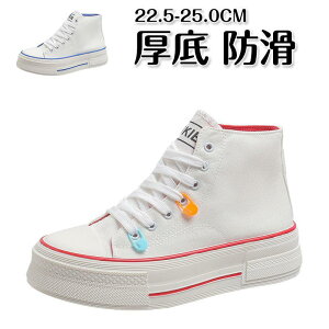 Xj[J[ fB[X  h ^ U K ɂ C s V[Y XN[V[Y ₷ ^C i  20 30 40 50 SHOP DAN