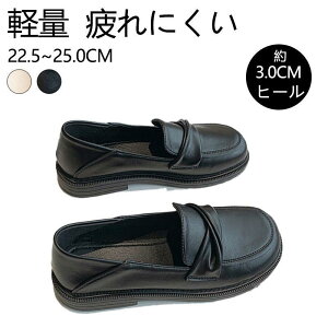 [t@[ fB[X w q ʊw ʋ wC wZ C y w  Z ₷ ₷ ɂ ɂȂ  i  h \ SHOP DAN