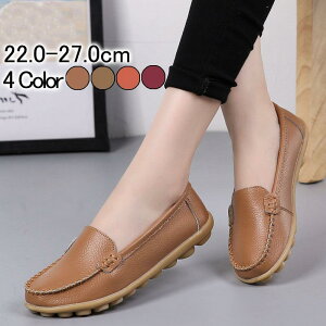 Xb| fB[X 傫TCY s n _炩 y JWA sNjbN Vv  ɂ ʊw ʋ  ̓ 20 30 40 SHOP DAN