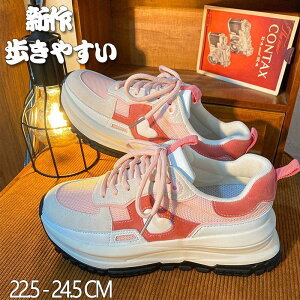 Xj[J[ fB[X  V[Y XN[V[Y ʊw wZp wC ʋ x[VbN ^C _炩 U ɂ EH[LO 킢 V SHOP DAN