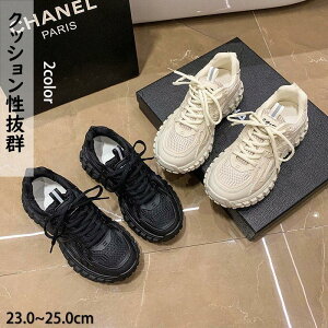 Xj[J[ fB[X hV̓ y ^  h U ^C K ɂ C s V[Y XN[V[Y i ₷  SHOP DAN