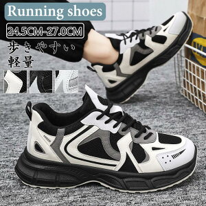 jOV[Y Y fB[X Xj[J[ EH[LOV[Y C  ^C jO V[Y Ȃ y ʊw ʋ  SHOP DAN