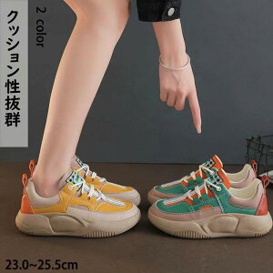 Xj[J[ fB[X hV̓ y ^  h U ^C K ɂ C s V[Y XN[V[Y i ₷  SHOP DAN