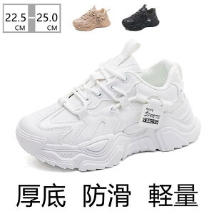 Xj[J[ fB[X y ^  h U ^C K ɂ r C V[Y XN[V[Y i ₷ gAbv wȂ SHOP DAN