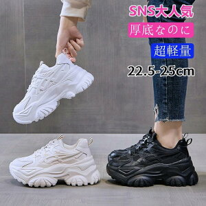 y fB[X Xj[J[ V[Y C CCh~ jOV[Y EH[LOV[Y fB[XV[Y g[jOV[Y  ʋ SHOP DAN