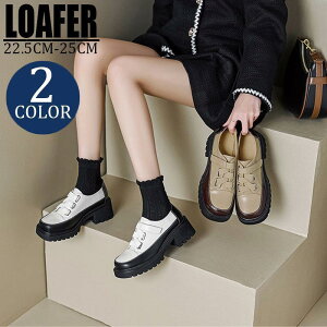 [t@[ fB[X  rbg[t@[ q[ hCrOV[Y w q Ǝ 10 20 ɂȂ ₷ r 풅p ʊw ʋ SHOP DAN