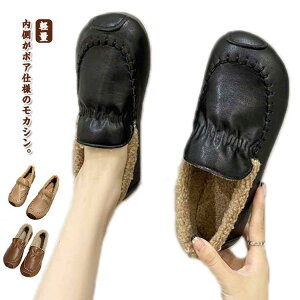 Xb| N  JV fB[X H~ v C V[Y {A  [t@[  h ۉ  {A pvX ؂ SHOP DAN