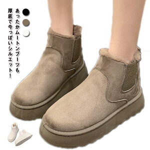 [gu[c TChSA  u[c V[g fB[X V[gu[c N {A ɒg t@[ TChSAu[c u[c  y SHOP DAN