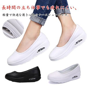 fB[X Xb| d C i[XV[Y ɂ Ōt  EH[LOV[Y Xj[J[  D^ ₷ y tB SHOP DAN