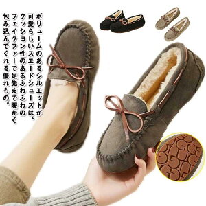 [t@[ N Xb| fB[X C V[Y H~ JV ؂ tbg {A  h ۉ  XG[h [g SHOP DAN