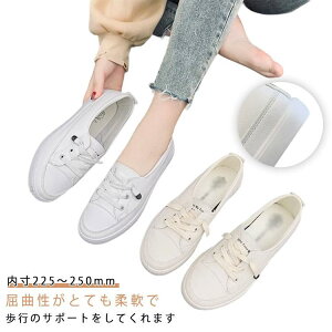 [Jbg Xj[J[ JWAV[Y fB[X y  pvXXj[J[  ʋ ₷ ₷ ~ ʊw Xb| SHOP DAN