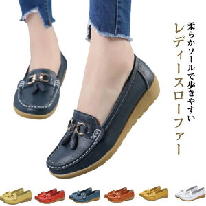 [t@[ pvX tbgV[Y fB[X v C V[Y [q[ tbg l  ꂢ ~ ʋC _炩 ₷ SHOP DAN