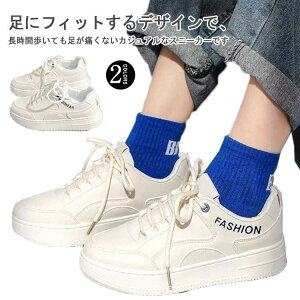 Xj[J[ fB[X [Jbg JWA  _bhXj[J[ V[Y C y 傫TCY t U  EH[LO gAb SHOP DAN