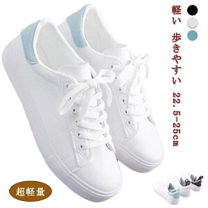  ʋ EH[LOV[Y fB[X Ōt X|[cV[Y JWAV[Y JbvC wlC Xj[J[ ʊw Xj[J[ i[XV SHOP DAN