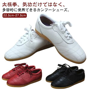 ɌV[Y Jt[V[Y fB[X Y pC vC p Kp Xj[J[ [Jbg [XAbv ʋC悢 _炩  SHOP DAN