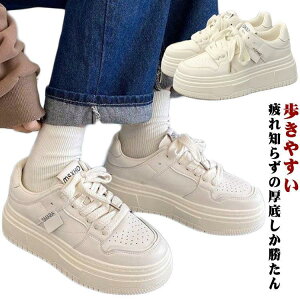 Xj[J[ fB[X ₷  r Xj[J[ EH[LOV[Y C  fB[XV[Y _bhXj[J[ Cq[Xj[J SHOP DAN