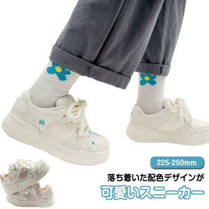 Xj[J[ fB[X _bhV[Y Xj[J[ Xj[J[   qZ ^C  r ₷ ~ C  SHOP DAN