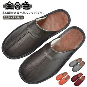 T_ {v [V[Y Y fB[X U[ ׂȂ  jZbNX I[V[Y  v  Ɩp V SHOP DAN