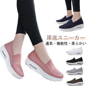 Xj[J[ fB[X  Ȃ y C jO EH[LOV[Y i[XV[Y D^ Ōt V[Y   傫TCY G SHOP DAN