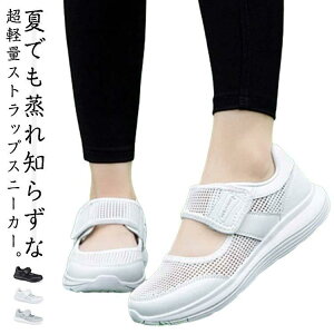 bVXj[J[ Xgbv Xj[J[T_ T_Xj[J[ fB[X y ČC  c EH[LOV[Y 506070 SHOP DAN