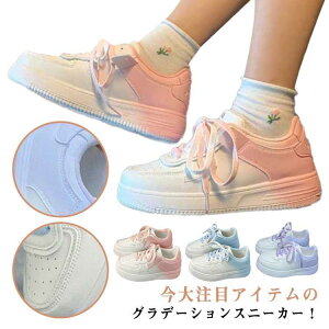 킢 Xj[J[ fB[X [Jbg V[Y ʊw Vv l ʋ  [XAbv  C  JWA SHOP DAN