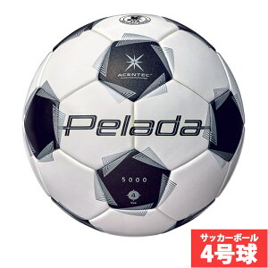 e y[_5000 LbY 4 molten TbJ[{[ JFA苅 w (F4K5000)