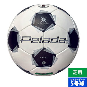 �����e�� �y���[�_5000 �ŗp 5���� molten �T�b�J�[�{�[�� ���ی��F�� JFA���苅 ���w���ȏ� (F5K5000)