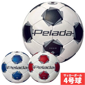 e y[_3000 4 molten TbJ[{[ JFA苅 w (F4K3000)