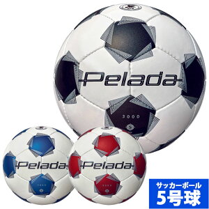 e y[_3000 5 molten TbJ[{[ JFA苅 wȏ (F5K3000)