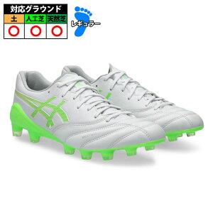 AVbNX DS LIGHT X-FLY 6 asics TbJ[XpCN V[Y y lH VR l Y White/Green Gecko (1101A076-100)