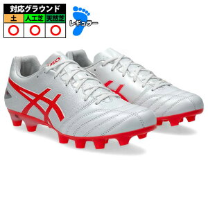 AVbNX DS LIGHT PRO asics TbJ[ XpCN (1103A095-104)