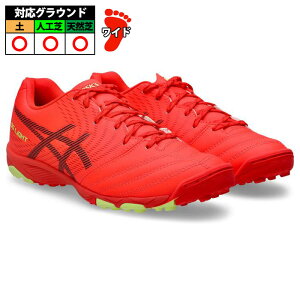 AVbNX DS LIGHT JR GS TF asics TbJ[ tbgT gV[ (1104A053-600)