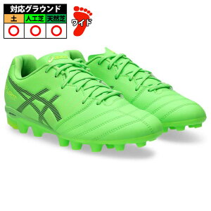 AVbNX DS LIGHT JR GS asics TbJ[ XpCN (1104A054-300)